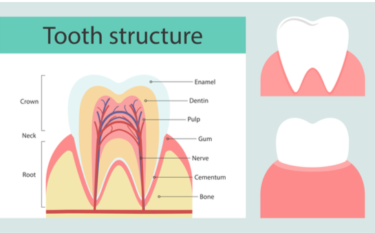 sensodyne pronamel extra fresh intensive enamel repair