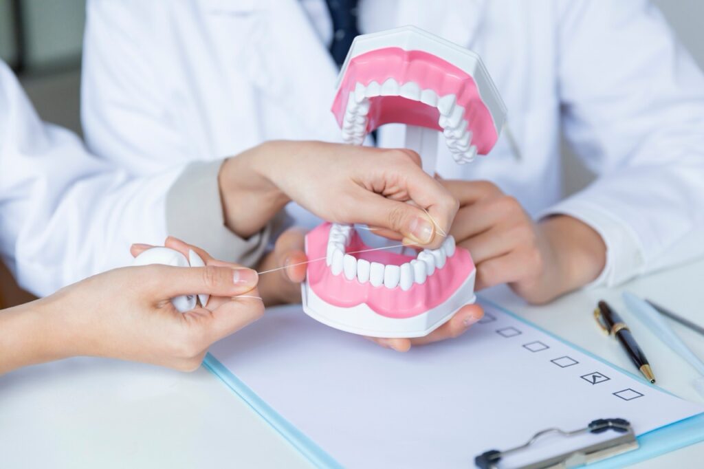 Dentist demonstrates proper technique for flossing teeth on oversized model of teeth. 